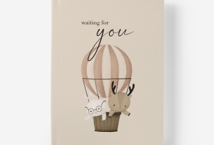 Álbum Waiting For You intro